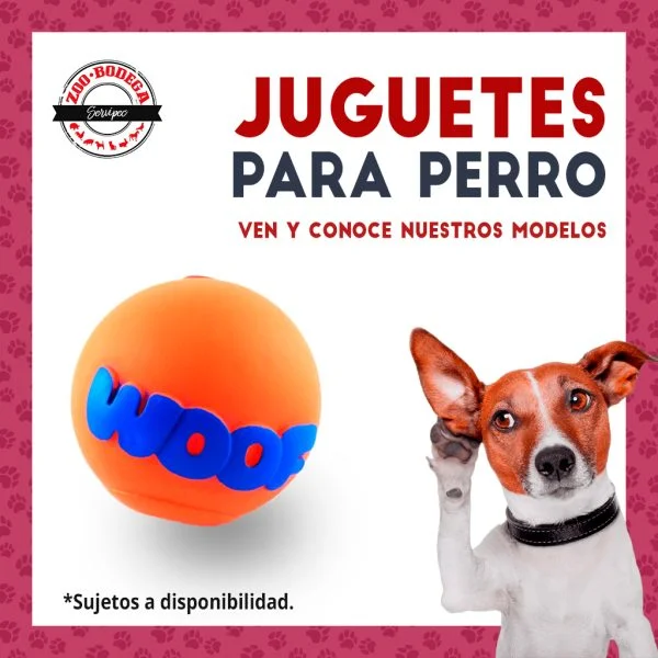 Manejo de Redes Sociales 24 01