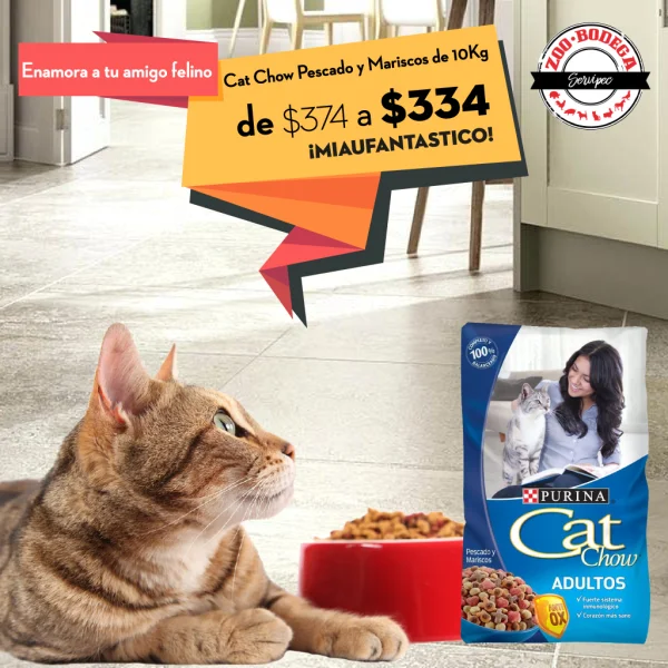 Manejo de Redes Sociales 23 CatShow_Facebook