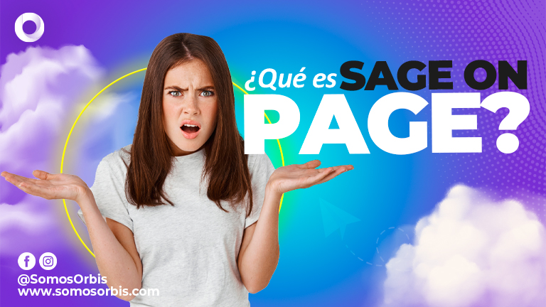 Que es SEO on Page