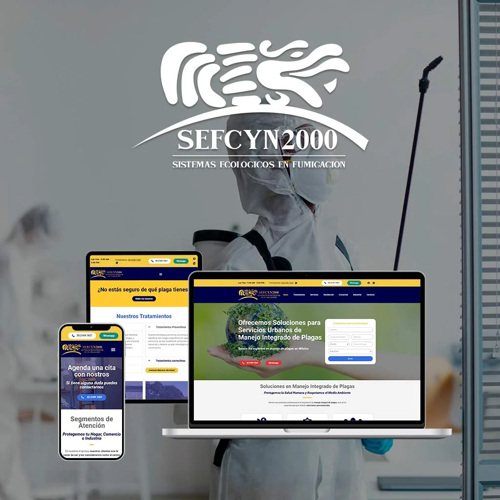 DiseƱo de PƔginas Web en Zacatecas 98 Sefcyn2000