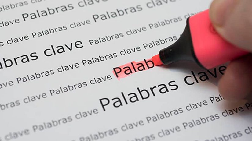 Identifica las palabras claves para tu web