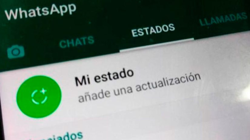 Aprovecha todas las funcionalidades de WhatsApp Business