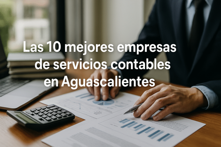 agencia-de-marketing-digital-en-navarra-espana 102 Mejores Empresas de Servicios Contables en Aguascalientes